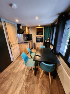 Les Nids chalet 6 La Lechere